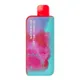 Watermelon Cotton Carnival