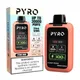 Juicy Peach / Peach Ice