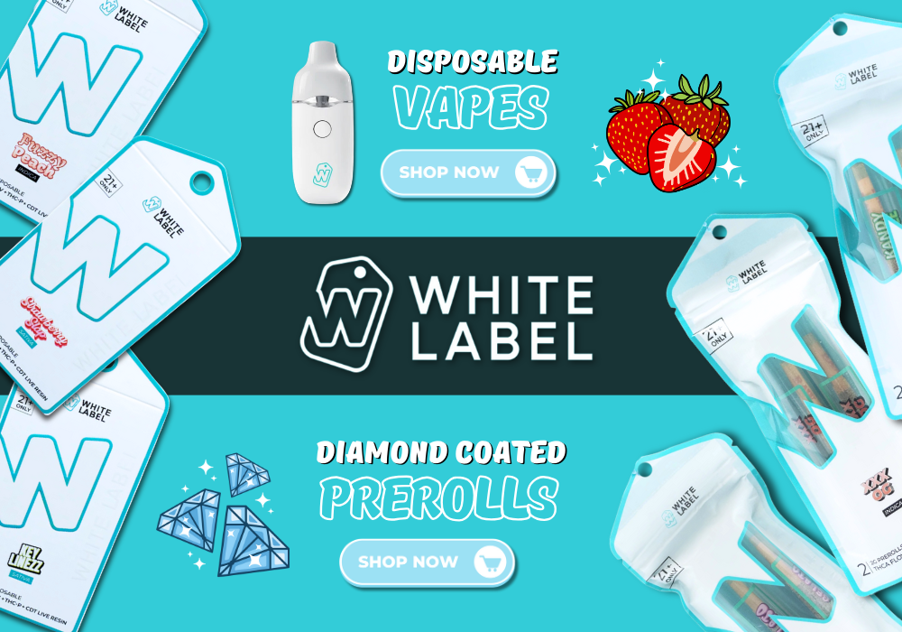 White Label THC Disposable | Apex Vape Wholesale